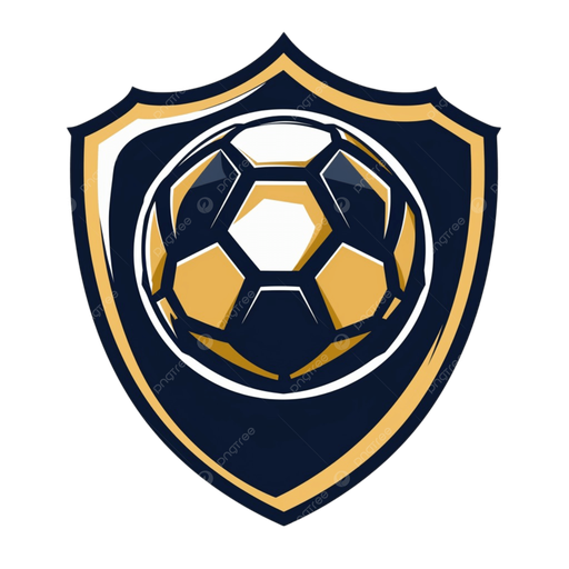 DS足球比分 Logo